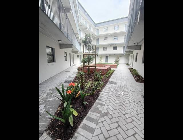 1 BEDROOM PROPERTY TO RENT IN PINELANDS